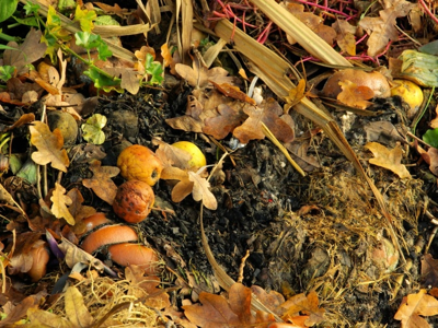 Tuinonderhoud in oktober