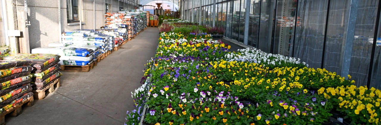 Welkom bij De Serres