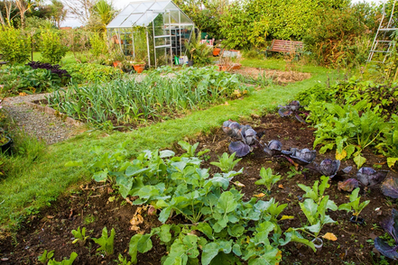 Moestuinieren in april