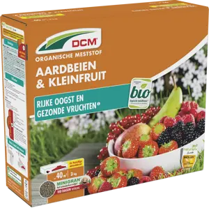 dcm aardbeien/kleinfruit 3kg