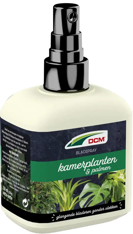 dcm bladspray kamerplanten/palmen 0,25l