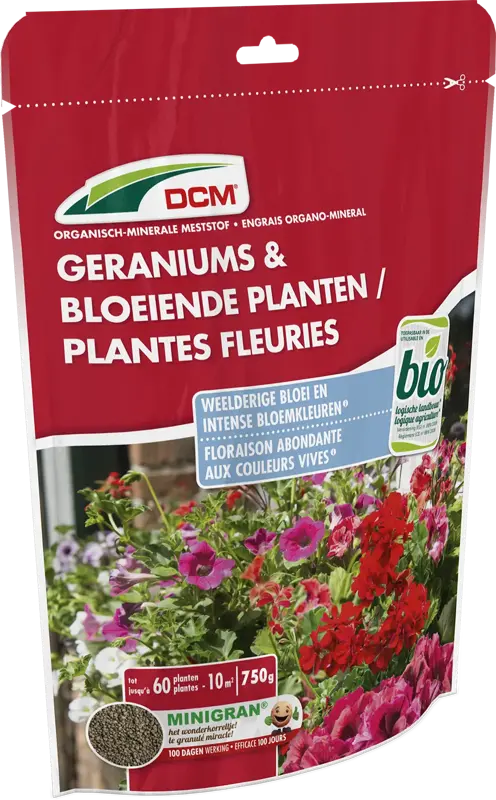 dcm geranium/bloeiende planten 0,75kg