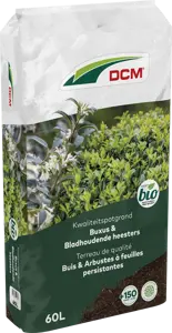 dcm potgr buxus/bladhoudende heesters 60l