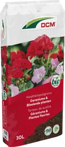 dcm potgr geranium/bloeiende planten 30l