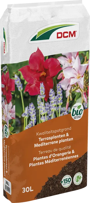 dcm potgr terras/mediterrane planten 30l