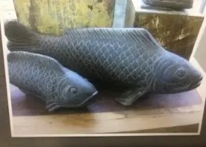 fish 100x20x15