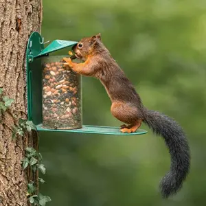 green metal squirrel feeder