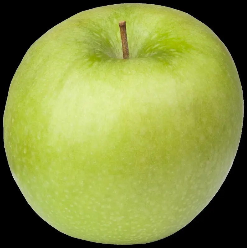 malus d. 'granny smith' HOOGST BW (8/10) - afbeelding 3