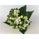 mint-white  rose bud / orchid *13