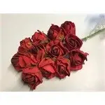 rose (36) red