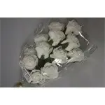 rose (36) white