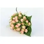 rose bud bush x 12 - 27cm