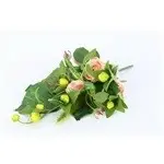 rose bud/foxtail flat bush x 8 - 30cm